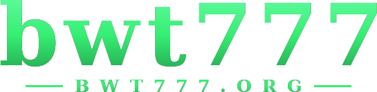 bwt777 logo